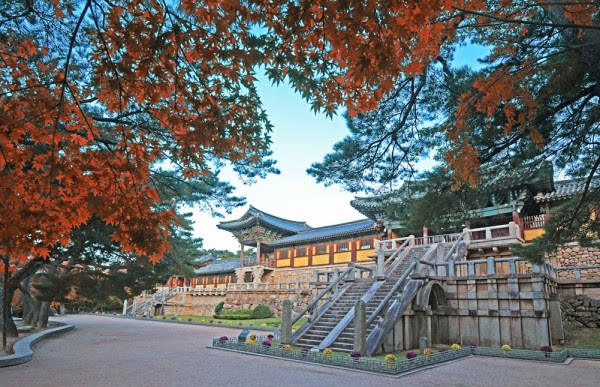 De eeuwenoude Bulguksa tempel, een UNESCO Werelderfgoed, wordt in de herfst omringd door een vurig palet van rode en oranje esdoornbladeren.