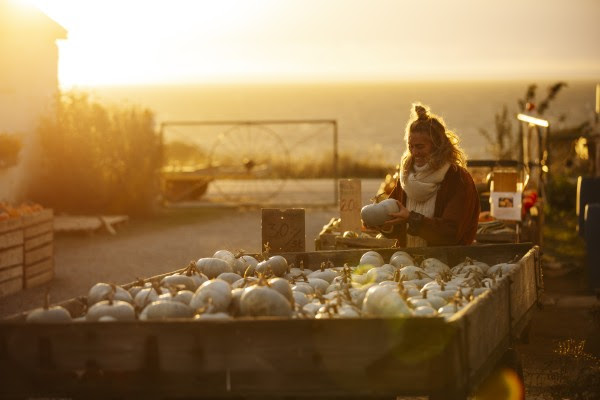 Niet te missen in Zuid-Zweden in de herfst is het jaarlijkse Ölands Skördefest.