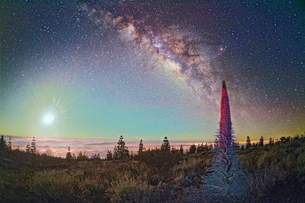 Sterrenkijken op Tenerife: onder de betoverende hemel boven de Teide