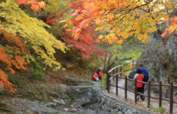 Juwangsan National Park staat bekend om zijn imposante stenen kliffen, diepe valleien en heldere watervallen. 